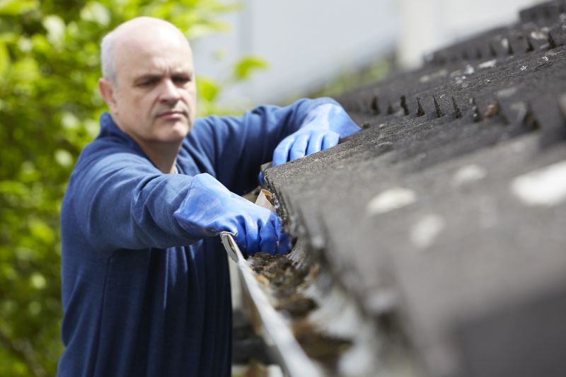 Gutter Cleaning Pros