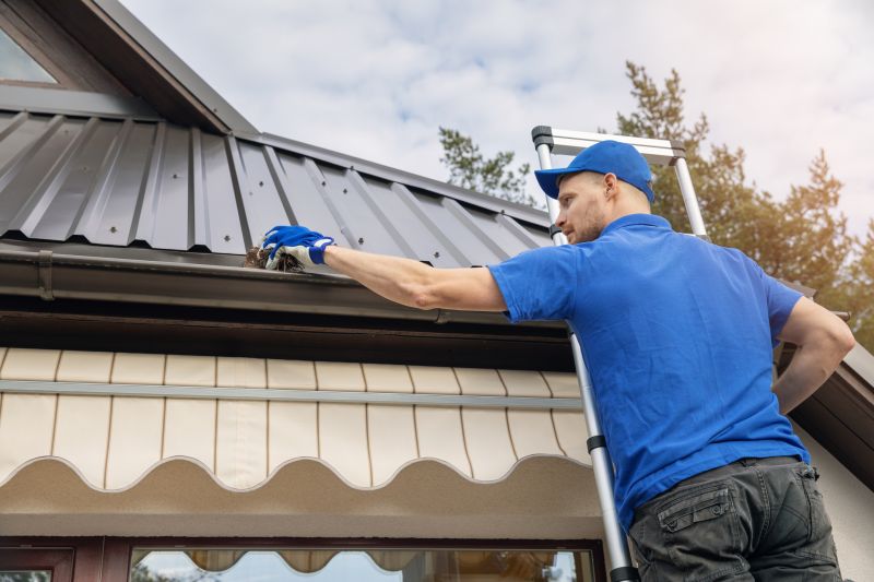Gutter Cleaning Pros
