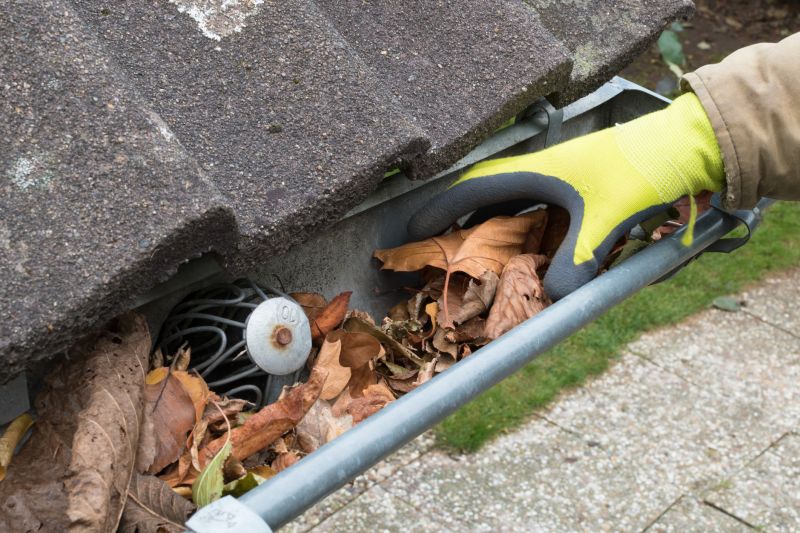 Gutter Cleaning Pros