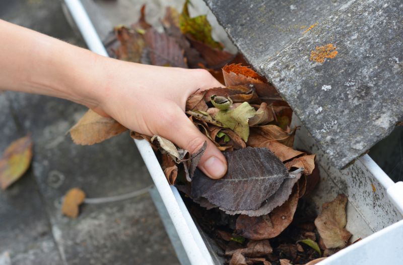 Removing Leaves from Gutter