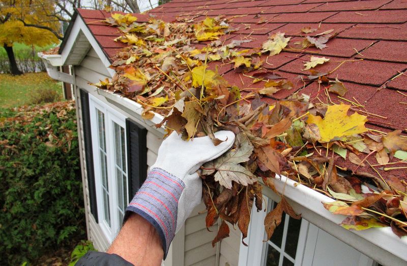 Gutter Leaves Removal in Richmond, VA