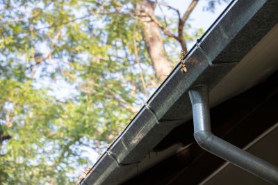 Gutter Service Cost Overview — Cost of Gutter Services