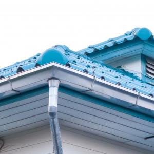 Lakeland Gutter Flushing