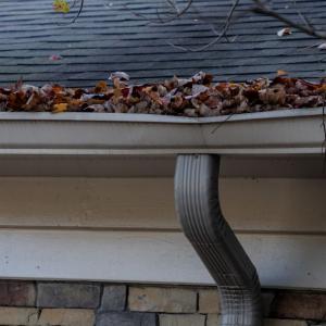 Lakeland Gutter Unclogging