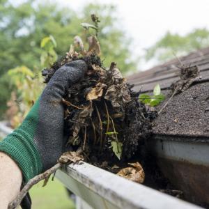 Lakeland Gutter Debris Removal