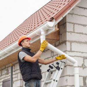 Lakeland Gutter Downspout Cleaning